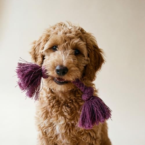 Playology Tug Rope Dog Toys for Small Dogs - Small, Bacon Scent, 2-pk