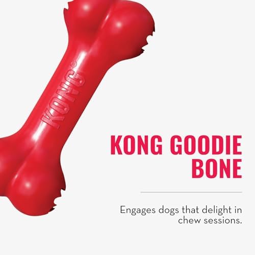 KONG Goodie Bone and Flyer Dog Toy Set, for Large Dogs
