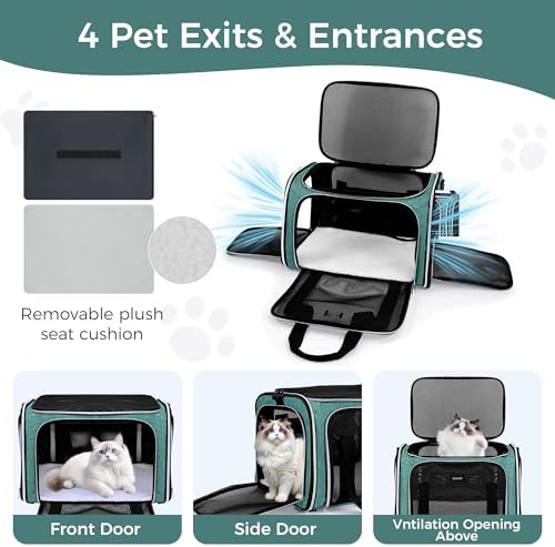 BAGLHER Pet Travel Carrier, Cat Carriers Dog Carrier for Small Medium Cats Dogs Puppies, Airline Approved Small Dog Carrier Soft Sided, Collapsible Puppy Carrier. Green