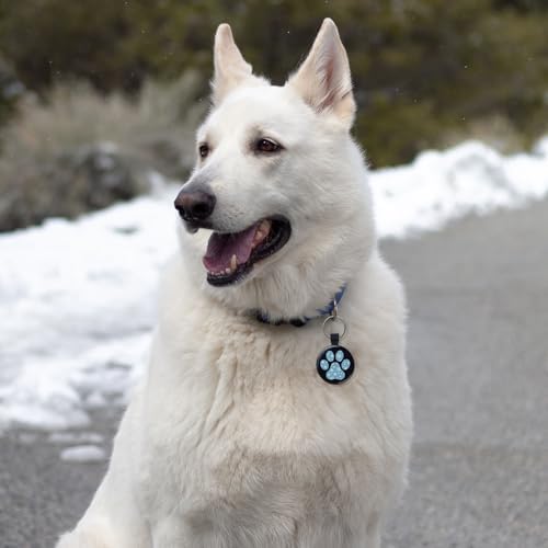 MYLUCKYTAG QR Code Pet ID | Personalized Dog & Cat Collar Tag | Online Profile with Instant Scanned Location Alert Email