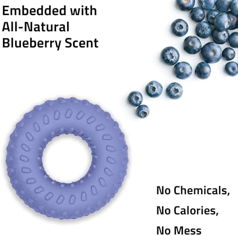 Playology Dual Layer Ring Dog Toy for Aggressive Chewers, Blueberry Scent