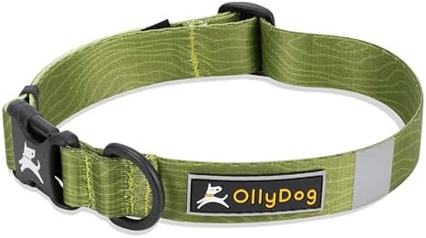 OllyDog Flagstaff Collar, Adjustable Soft Puppy Collars with Quick Release Buckle, Ideal Dog Collar for Everyday Use and Adventures (Large, Cactus Woodgrain)