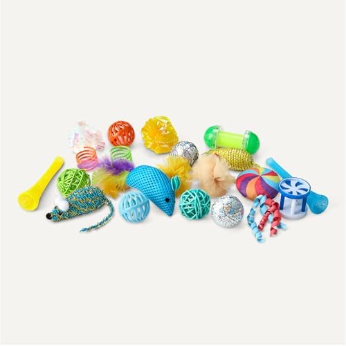 Amazon Basics Cat Toy Set, 20 Piece Variety Pack with Teaser, Ball, Feather, Spring