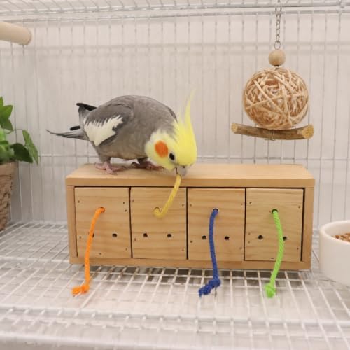Bird Foraging Toys, Wooden Bird Foraging Box with 4 Compartments, Interactive Parrot Puzzle Toy for Treat Dispensing and Natural Enrichment, Parakeet, Cockatiel, Lovebird and Conure Cage Accessories