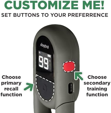 Dogtra CUE Gen 2 Grey – Customizable E-Collar for Dogs Training Collar with Remote – Easy, Safe, Beginner-Friendly Design – 99 Levels, Vibration, Boost, Waterproof, Rechargeable, 400-Yard Range