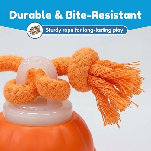 Winb Interactive LED Dog Ball （4 inch）- USB Rechargeable Motion-Activated Rolling Toy for Small to Large Dogs, Dogs Ball Play and Wicked Fun,Squeaky Sound & Stimulation, Orange