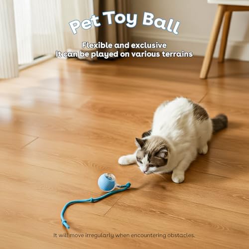 Interactive Cat Toy Ball, Automatic Intercative Cat Toys for Indoor Cats, The 3rd Generation Agile Moving Cat Ball with Elastic Mesh Tail, Toys for Indoor Adult Cats - Pack of 3 (Red, Green, Blue)