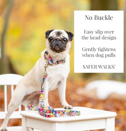 Lucky Love Dog Martingale Collar for Small Dogs No Slip – Blackbird, Small