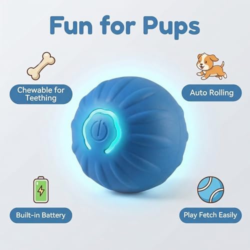 Winb Interactive LED Dog Ball Shell（2 inch）- Only Shell- Small Dogs Ball Play and Wicked Fun, Blue