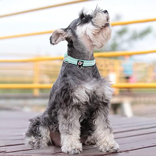 azuza Reflective Dog Collar,Soft Neoprene Padded Pet Collar with ID Tag Ring,Adjustable for Small Dogs,Teal,S