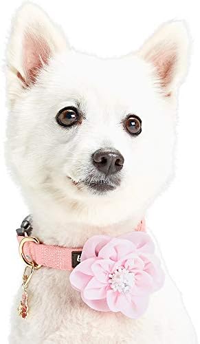 Blueberry Pet Princess Accessory Set of Floral Collar Accessory and Pedant for Dogs & Cats, Pink Flower Decor and Pendant