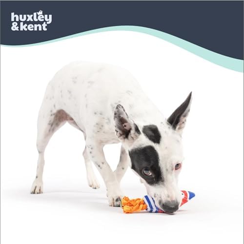 Huxley & Kent Funny Dog Toy w/Squeaker – Power Plush Squeaky Dog Toys for Small Dogs – Durable Small Stuffed Animal for Indoor Play & Fetch - Tiny Tuff Rocket Man