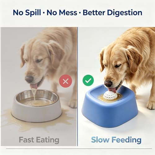 Slow Feeder Dog Bowls for Liquid Treats, Lick and Roll Bowl for Dog Food