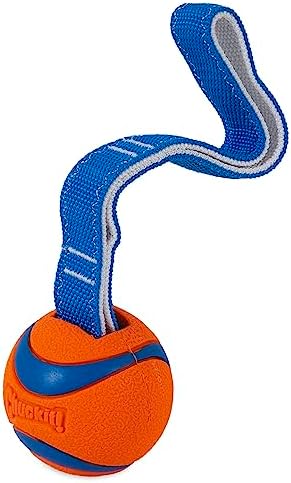 Chuckit! Ultra Tug Dog Toy (Medium) Flying Squirrel Fetch Dog Toy (Medium)