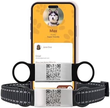 Smart Slide-On QR Code Pet Tag – Silent Dog & Cat ID Tag with Laser Engraving – Stainless Steel & Silicone – No App Needed – Custom Pet Profile – Fits Most Collars (Black, Small)