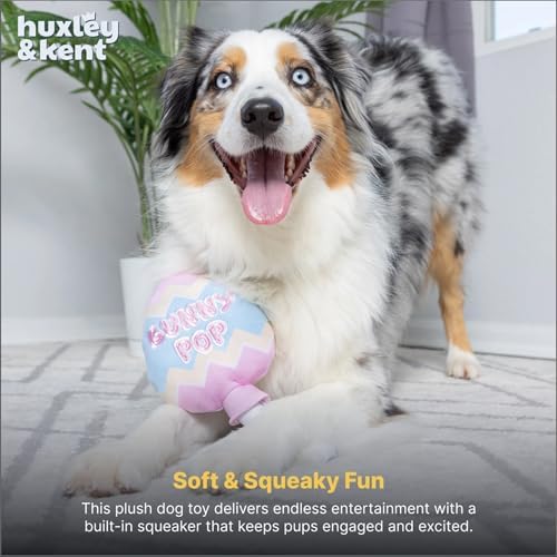 Huxley & Kent Power Plush Squeaky Dog Toy, Bunny Pop, Small