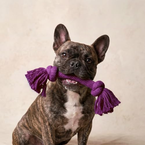Playology Tug Rope Dog Toys for Medium Dogs - Medium, Bacon Scent