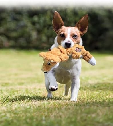 KONG - Scrunch Knots Squirrel - Internal Knotted Ropes and Minimal Stuffing for Less Mess - For Small/Medium Dogs