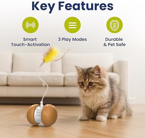PAWSPIK Feather Tail Rechargeable Spinner Chasers Cat Toy, Orange
