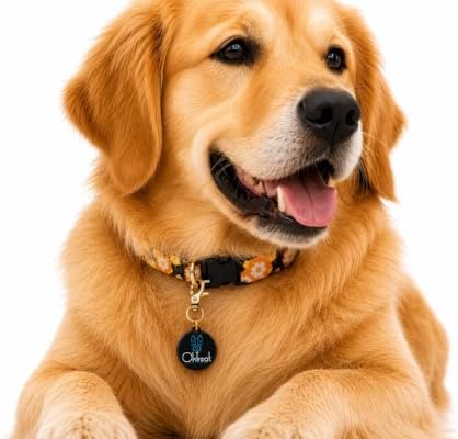 NFC Smart Pet ID Tag with QR Code, Waterproof Digital Pet Identification Tag for Dogs & Cats, No Battery Required, Secure Pet Collar Tag with Easy Smartphone Scan.