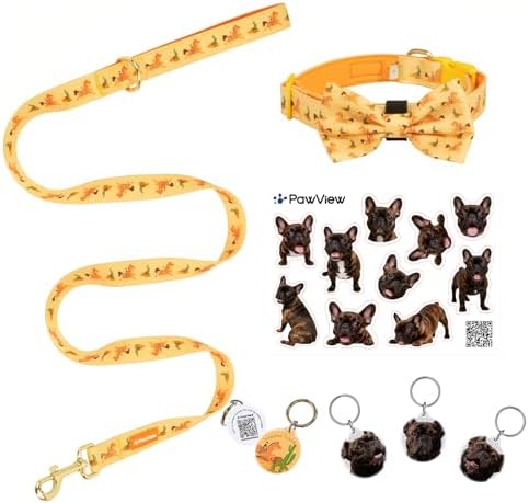Brindle French Bulldog Polyester Dog Collar and Leash Set with Bowtie, Smart & Safe Design, Includes 1 ID Tag + 3 Frenchie Dog Tags for Instant Location & 2 Sticker Sheets,Gift Set,M