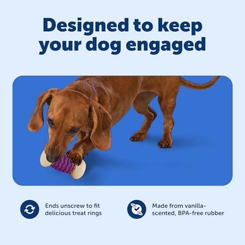 PetSafe Busy Buddy Nobbly Nubbly Treat Holding Dog Chew Toy, Small