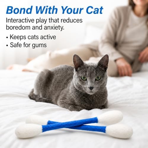 Glaciart One XXL Swabs Cat Toys with Catnip - 2 Pk | Durable for Chew, Cute Cat Toys Interactive Kitty for Boredom, Exercise, & Play | Filled w/Organic Catnip for Anxiety & as Digestive Aid