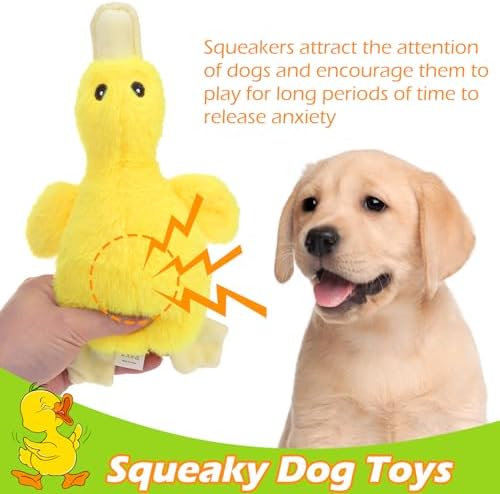EXPAWLORER Plush Squeaky Duck Dog Toy - Soft Stuffed Small Dog Toys Cute Yellow Duck, Best Birthday Gift Interactive Filled Chew Toys for Puppy Small Medium Dogs Biting Training Teething, 2 Pack