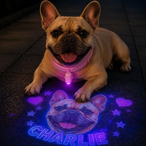 Personalized Pet Projection Collar Light, Custom Photo Light Up Dog Collar