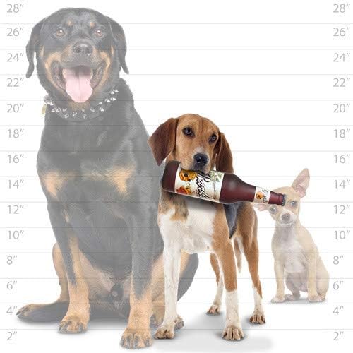 Tuffy® - Silly Squeakers® : 2 Pack Beer Bottle Dog Toy: Squeaky Dog Toy , Washable and Floats , Vinyl