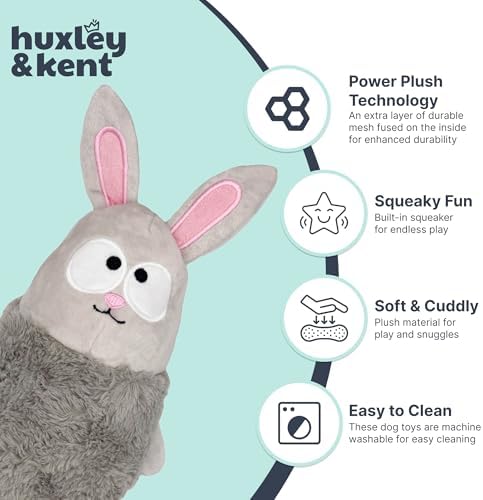 Huxley & Kent Funny Dog Toy w/Squeaker – Power Plush Squeaky Dog Toys for Small, Medium & Large Dogs – Soft Stuffed Animal for Indoor Play & Fetch - Squeak to Crunch - Lankies Binky Bunny, Small