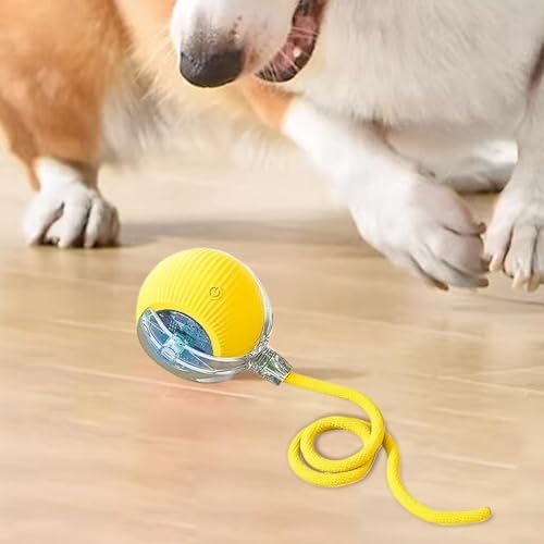 Interactive Rolling Dog Ball, Chewie Viral Rolling Ball, Chewie Ball for Dogs, Interactive Dog Smart Ball Toy, Smart Automatic Rolling Pet Ball for Dog Cat