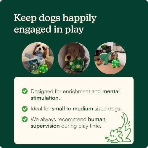 Reggie Dog Training Treats with Enrichment Toy | Turkey & Pumpkin Dog Treats + Forager Ball | Low-Calorie High-Protein Rewards | Mental Stimulation for Dogs | 340 Treats