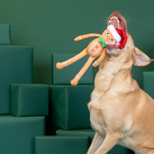 Fringe Studio Pet Toy, Seasons Eatings! Gingerbread Santa Plush Dog Toy, PetShop Collection (314468)