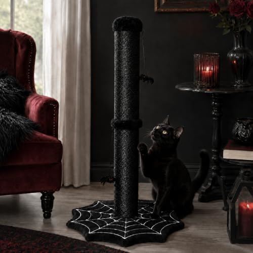 Gothic Cat Scratching Post with Spider Toys for Indoor Cats