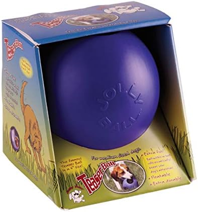 Jolly Pets Teaser Ball Interactive Dog Toy, 6 in Medium, Blue