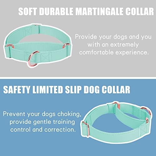 Soft Leather Martingale Dog Collar - Adjustable Rose Gold Limited Slip Collars [Easy to Clean], Stylish Durable Heavy Duty Nylon No Pull Training Collar for Small Medium Large Dogs S Mint Green