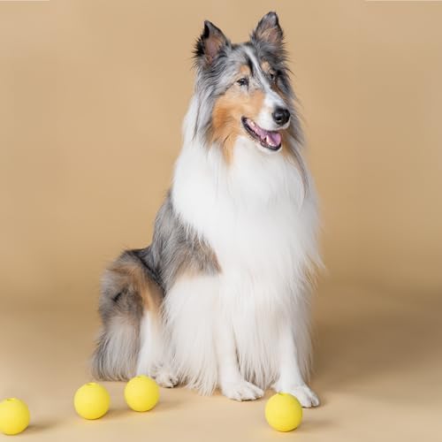 Harry Barker Rubber Balls and Rubber Chew Stick for Dogs