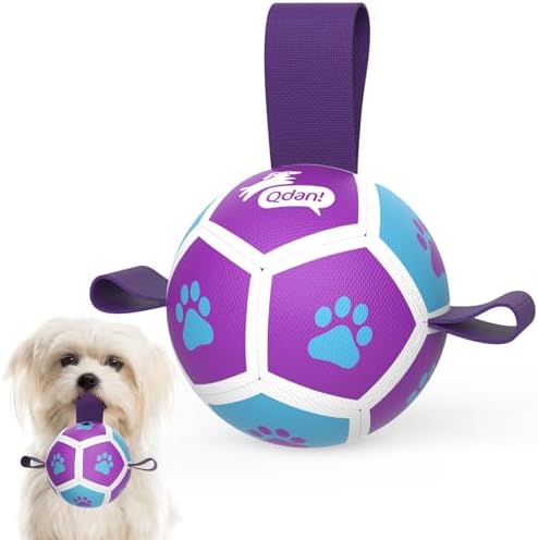QDAN Small Dog Toys, Puppy Balls, Dog Balls with Straps for Small Breed | 3.5 Inch Small Soccer Ball for Dogs, Puppy Toys for 3-15 lbs Dogs, Dog Birthday Gift, Herding Ball for Small Dogs, Purple