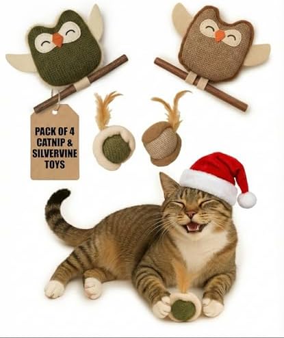 Catnip Silvervine Cat Toys, Owl Plush for Indoor Cats and Kittens, 4 Pack