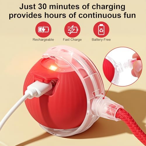 Interactive Automatic Rolling Electronic Stimulation Chase Ball Cat Dog Toy | Smart Electric Moving Stimulating Rechargeable Motion Activated Self Play Teaser for Boredom Small Dog Puppy Pet, with Rope