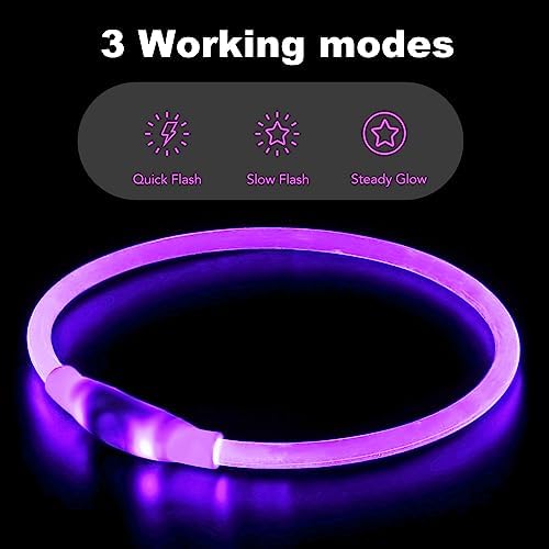 Flashseen LED Dog Collar, USB Rechargeable Glow Lighted up Collar, Purple