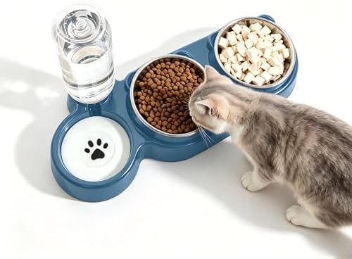 3 in 1 Cat Bowl, Cat Food and Water Bowl Set, Stainless Steel Cat Food Bowls Elevated with Tilted Design, 2 Pet Dish & Automatic Water Dispenser Feeding Station, Small or Medium Sized Dogs