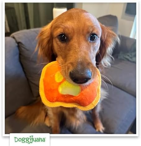 Doggijuana Tuffer Chewer Dog Toy, Jack O' Lantern | Fall Plush, Squeaky