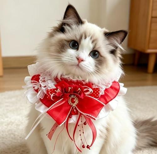 Cat Dog Lace Bow Collar Luxury Elastic Neckline (#7)