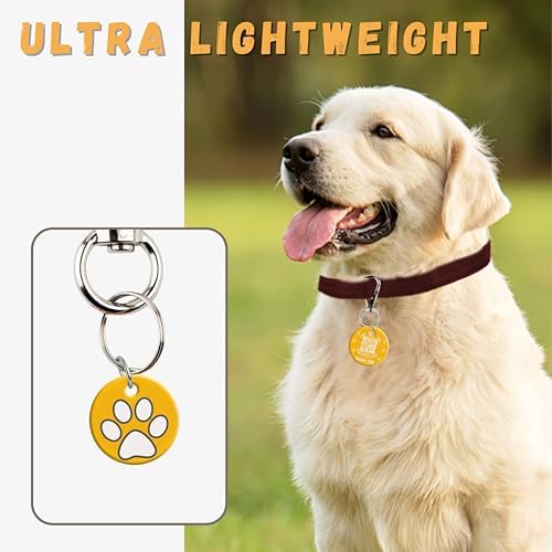 tag8 QR Code ID Tag for Dogs & Cats, Real-Time Scan Alerts, Online Pet Info Access, No Subscription or Fees, Durable Pet Tag for Collars - Purple