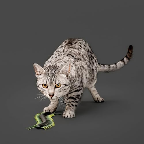Playology Cat Toys - Catnip Infused Centipede Cat Toy for Chase and Pounce
