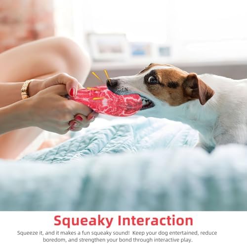 2Pcs Dog Chew Toys, Artificial Steak Plush Squeaky Dog Toys for Interactive