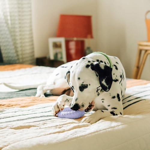 Playology Dual Layer Ring Dog Toy for Aggressive Chewers, Lamb Scent