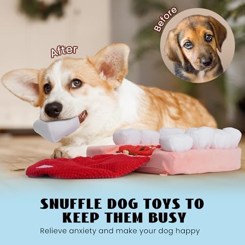 Nocciola Interactive Teeth Dog Toys – Enrichment Puzzle Funny Dog Toy for Small to Large Dogs, Hide and Seek Dog Toys to Keep Dogs Busy (White Teeth)